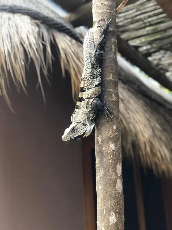Hébergement de vacances Villa Casa Nalum à Tulum